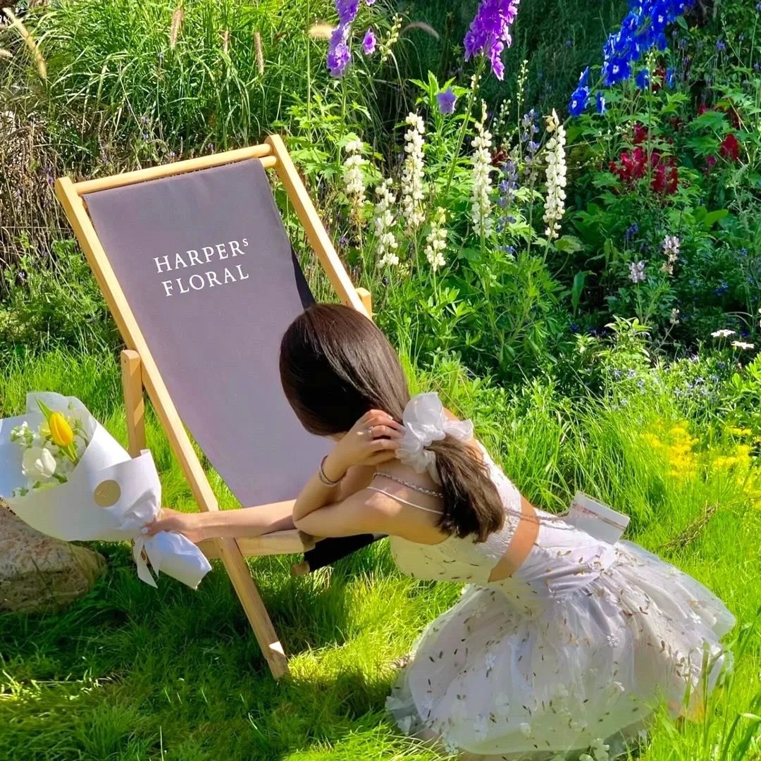 魔游纪4:白骨之姬